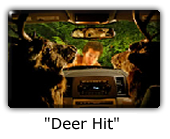 Naked Deer